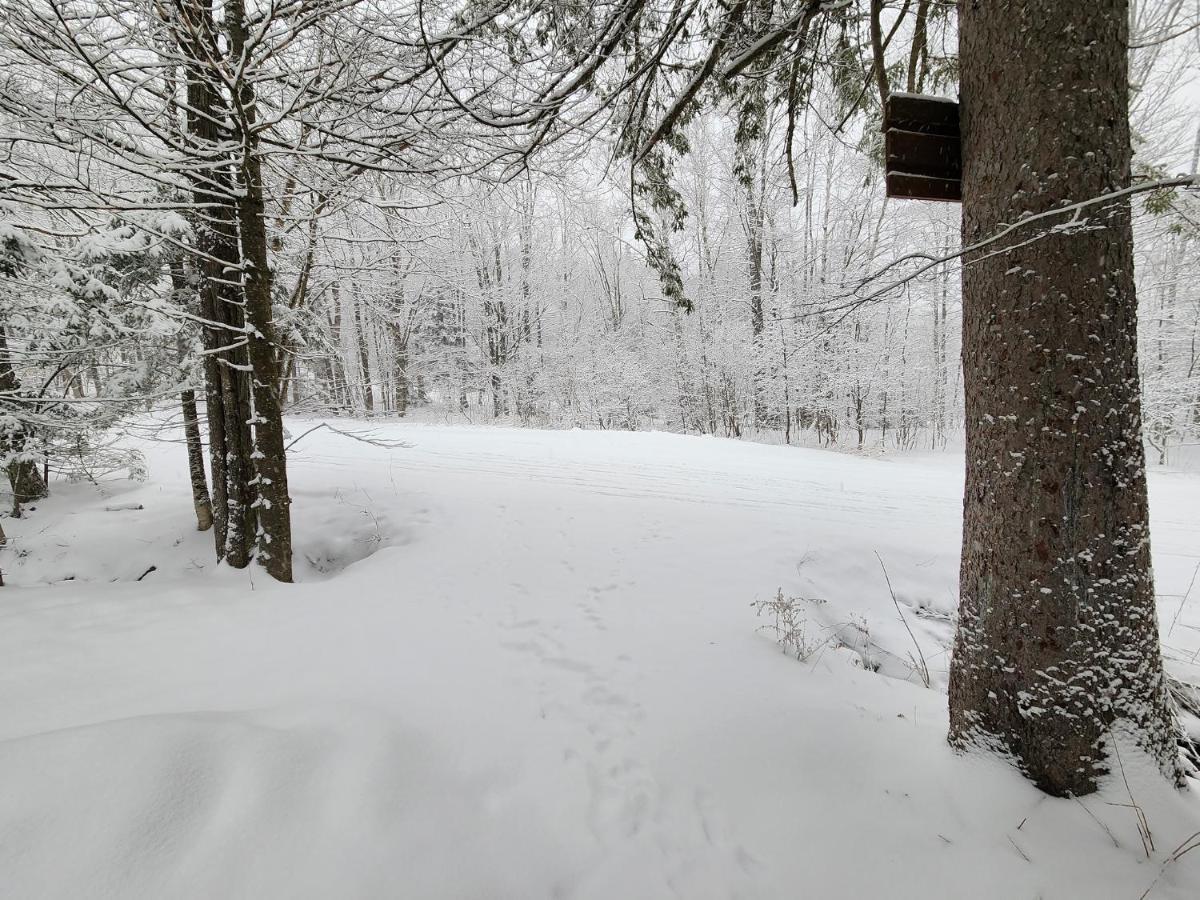 Ski In/Out Spruce Glen Townhomes On Great Eastern Trail Кіллінгтон Екстер'єр фото