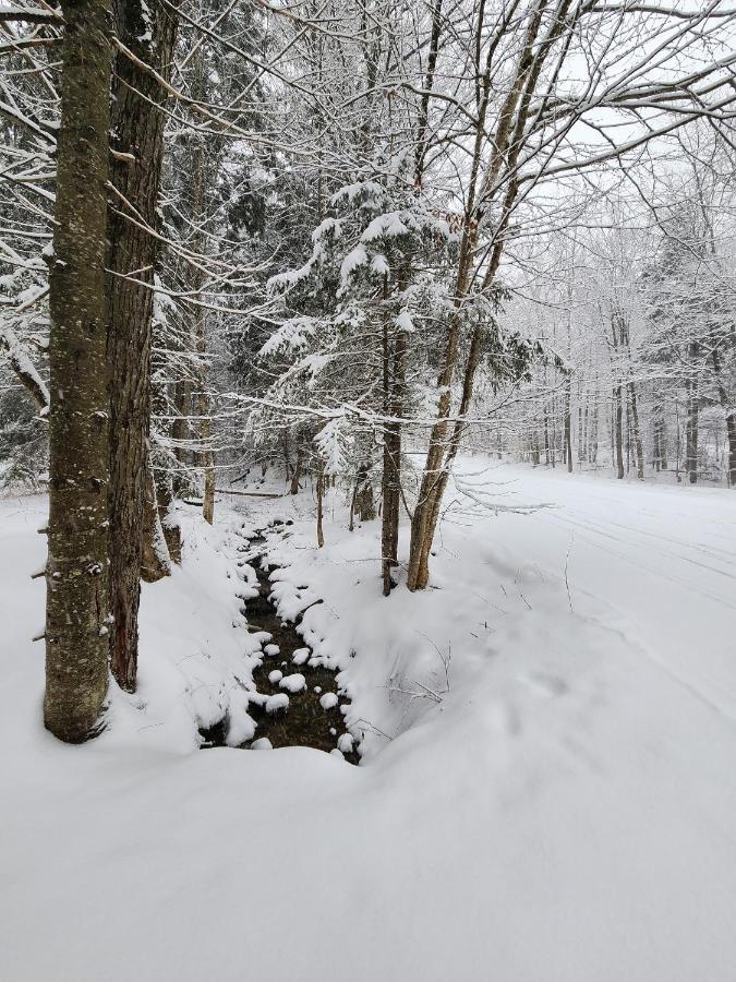 Ski In/Out Spruce Glen Townhomes On Great Eastern Trail Кіллінгтон Екстер'єр фото